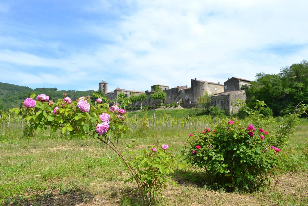 Chambres D'Hotes Domaine Du Hameau Baylesse Saint-Jean-d'Aigues-Vives المظهر الخارجي الصورة